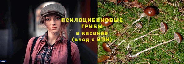 кокаин Алексеевка