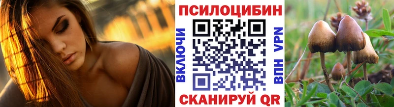 Псилоцибиновые грибы мухоморы  купить закладку  Лодейное Поле 